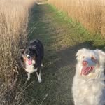 Gregory Clawson - @gregory.clawson.5 - Instagram