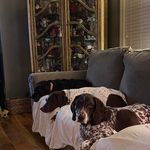 Gregory Cobb - @sherlockian1972 - Instagram