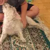gregorycoe - @gregorycoe - TikTok