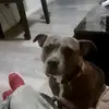 Greg Colbert - @greg.colbert2 - TikTok