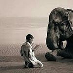 gregorycolbert - @gregorycolbert2 - Instagram