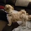 Margie Gregory Comer - @margie.gregory.co - TikTok
