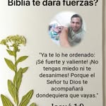 Gregory Condega - @gregorycondega - Instagram