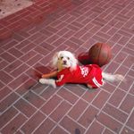 Gregory Cornell - @gregory.cornell.58 - Instagram