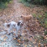 Linda Cornell Gregory - @lindacornellgregory - Instagram
