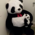 Coston Gregory - @costongregory - Instagram