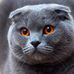 Gregory Craddock - Facebook