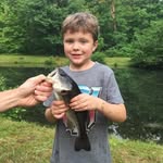 Gregory Cyphert - @gregxcyphert - Instagram