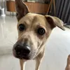 Gregory_nks - @gregory_nks - TikTok