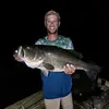 birdies_n_bass - @gregory.dial - TikTok