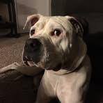 Greg Dobbins - Facebook