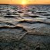Gregory Dowdy - Facebook