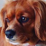 Gregory Dowlan - @gregory_dowlan - Instagram