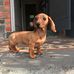 Gregory Dowling - Facebook