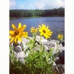Gregory Duda - @shardpinchcookie - Instagram