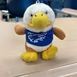 Greg Eagle - @gregory_the_eagle - Instagram