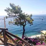 Edmond Gregory - @edmondgregory578 - Instagram
