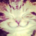 Egger Gregory - @gregoryegger - Instagram