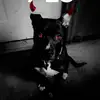 Greg Epperson - @greg_epperson7 - TikTok