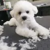 Gregory Epps - @gregoryepps9291 - TikTok