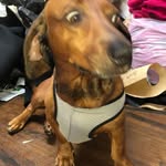 Gregory Espinosa - @roger_aceituno - Instagram