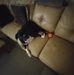 Greg Fairchild - Facebook