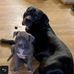 Greg Finger - Facebook