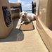Greg Finney - Facebook