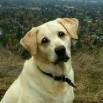 Gregory Flickinger - @gregoryflickinger - Instagram