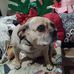 Gregory Fogleman - Facebook