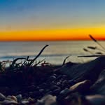 Gregory Forestal - @forestal_gregory - Instagram