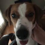 Gregory Gamble - @grgamble2 - Instagram
