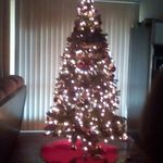 Gregory Gaston - @gregory.gaston.376 - Instagram