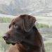 Greg Genert - Facebook