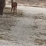 Gregory georges - @kakastoria1315 - Instagram