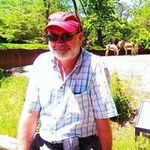 Gregory Gibbs - @gibbs1350 - Instagram