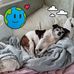Gregory Gilland - Facebook