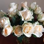 Gohar Gregory - Facebook