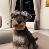 Gregory Goh - @xgregorygohx - TikTok