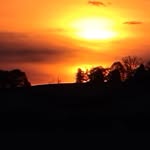 Gregory Good - @good.gregory - Instagram