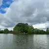Gregory Kim - @gregory_good - TikTok