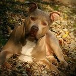 Gregory James - @gregorypodgorski - Instagram