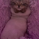 Gregory Graber - @infexato - Instagram