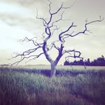 Gregory Gray - @mr_gregory_gray - Instagram