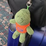 Gregory “gregg” - @timmy_thegator - Instagram