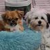 Greg Grubb - Facebook