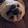 Greg Guidry - @greg.guidry - TikTok