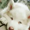 gregory habib suarez - @h4blb._.su4r3z - TikTok