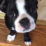 Gregory Hackett - Facebook
