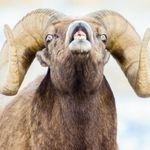 Gregory Halverson - @halversongregory - Instagram